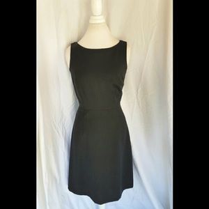 100% Merino Wool J. Crew dress